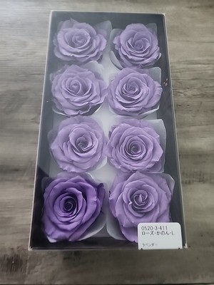 Lot of 8 Preserved Rose Flowers -100% Real -Preserved by Earth Matters Purple