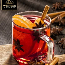 Insulated Thermo Glass Mug-14oz Double Wall Hot/Cold Beverage Cup-Microwave Safe