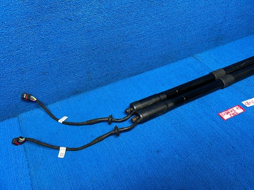 2012-2019 RANGE ROVER EVOQUE TAILGATE TRUNK LID LEFT & RIGHT SHOCK STRUT SET OEM - Picture 2 of 12