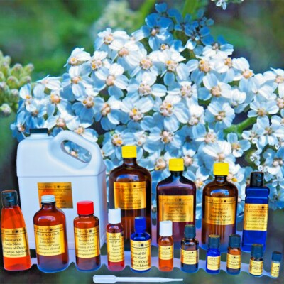 Birch Essential Oil 100% Pure & Natural - Therapeutic Grade - 1oz - 16oz Glass