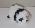 Picture 5 of 9
