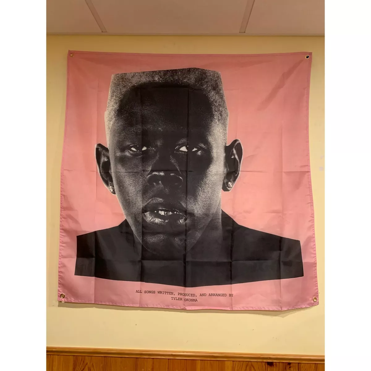 Tyler the Creator-IGOR Wall tapestry art – Wallart Cube Shop