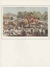 1974 Vintage HUNTING DOGS "RALPH JOHN LAMBTON on UNDERTAKER w HOUNDS" Lithograph