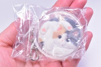 Cat Liquid Flock Mascot [Set of 6 Types] Capsule Toy - Japan