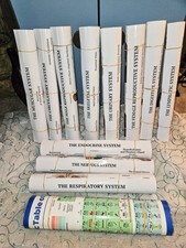 The Art Of Science Laminated Medical Anaomy 12 Counts