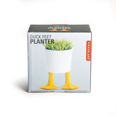 Kikkerland Small Duck Feet Planter Unique Office Supply Desk Toy New