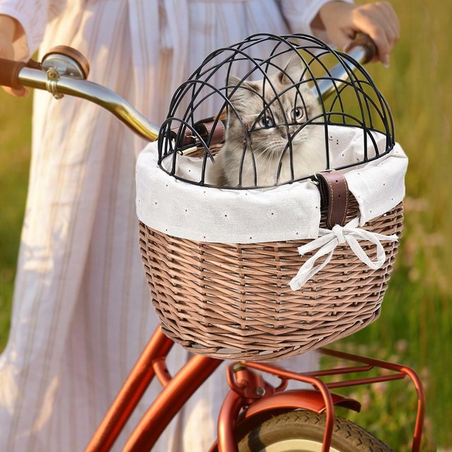 cat bicycle basket