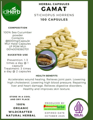 100 CAPSULES GAMAT STICHOPUS HORRENS NATURAL ORGANIC HERBAL HERBS