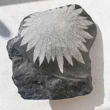 Natural Chrysanthemum Stone Floral Angel Wings Design