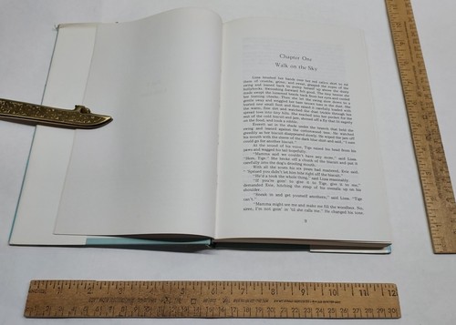 WALK ON THE SKY - A Novel of Wheatland, Wyoming - Ruth Southworth Brown - Picture 8 of 12