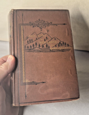 #ad New Life in New Land by Grace Greenwood J.B. Ford 1873 $34.99