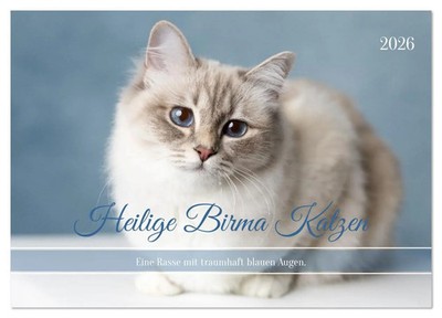 Heilige Birma Katzen - Eine Rasse mit traumhaft blauen Augen. (Wandkalender...