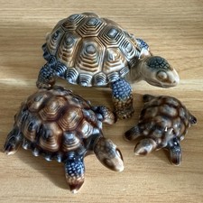 3 x Vintage Wade Porcelain Tortoise Turtle Trinket Box & Tortoise Family