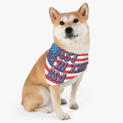 Best Boy In The USA: Patriotic Pet Bandana Collar, Great for 4th