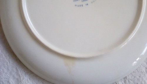Winfield True Porcelain Two Dinner Plates Passion Flower 1950s Mid Century Pink - Picture 7 of 8
