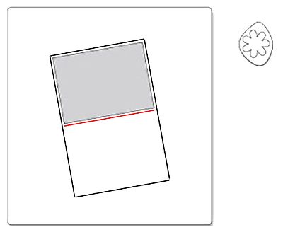Sizzix Movers Pro A2 Card & Daisy Flower magnetic insert #656433