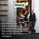 Bild 5 von 12