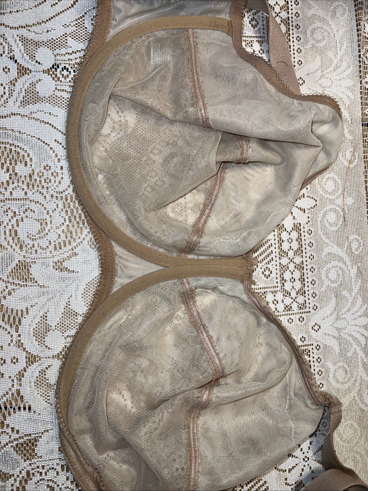 Picture 5 of 7