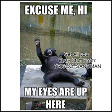 Fridge Fun Refrigerator Magnet EXCUSE ME, HI MY EYES ARE UP HERE Funny Bear