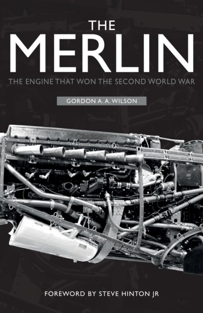 The Merlin by Gordon A. A. Wilson (Paperback Book)