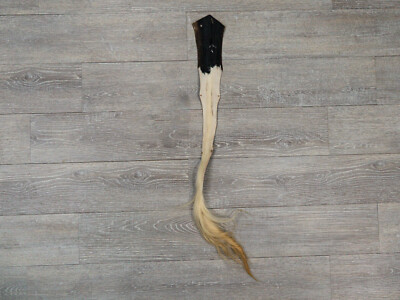 Hungarian Bovine Cow Tail (18-35T-AS) Y1H