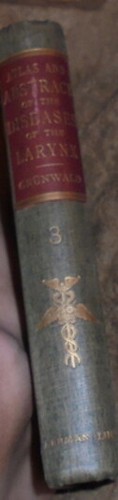 Atlas Abstract Larynx Color Lithographs Plates Anatomy Diseases Wounds Defects X - Picture 4 of 5