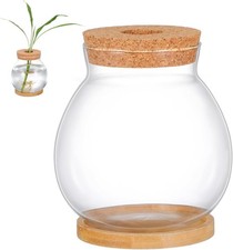 Betta Fish Tank with Lid and Cushion Hydroponic Glass Aquarium for Desktop