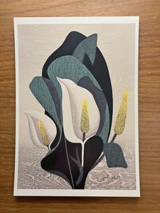 Cartolina Kiyoshi Saito inizio estate (2) 1991