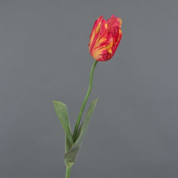 Artplants KüNstliche Papageientulpe Uakari, Rot-Orange-GrüN, 65Cm, Ø6Cm-image