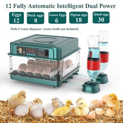 NEU Automatischer Eierinkubator Mit Wasserzugabe Bruteier Für Enten-Küken-