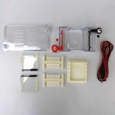 27022 Horizontal Electrophoresis Tank High School Biological Equipment 122-3122