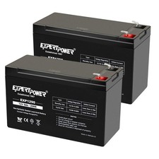 ExpertPower EXP1290, 2 Pack 12V 9AH SLA AGM Rechargeable 12V Battery Backup