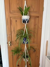 Triple Macrame Plant Hanger