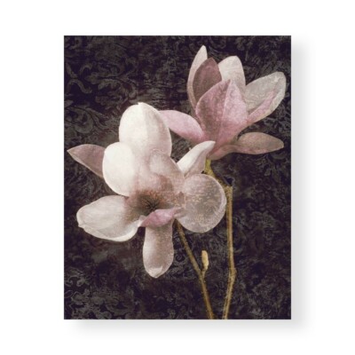 Leinwanddruck auf Papier Poster oder Gemälde Seba John Pink Magnolias I