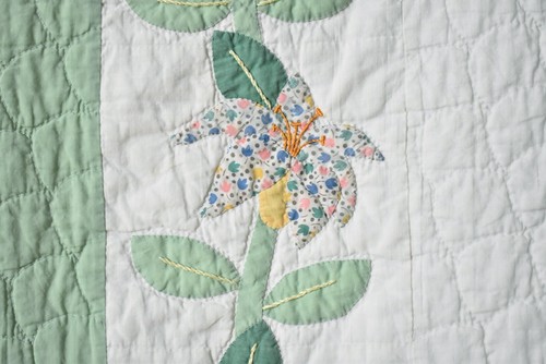 Large, Well Quilted Vintage 30's Floral vine Applique Antique Quilt ~Nice Border - Picture 9 of 14
