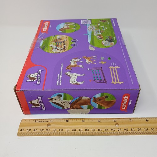 SCHLEICH Horse Club Torneo di Lisa Playset Allenamento 42433 Giocattoli - Foto 11 di 15