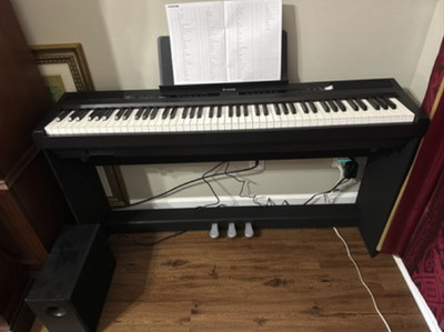   Donner DEP-20 Digital Piano Keyboard With Stand Triple Pedal 88 Weighted Key