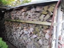 Brennholz Eiche Ofenfertig trocken Scheite ca 30 cm  Preis für 3,7 RM