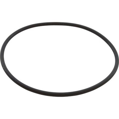 Speck Pumps 2921641223 165 x 6MM Casing O-Ring