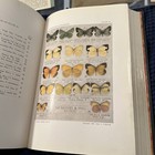 Picture 11 of 24