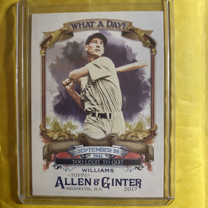 2017 Topps Allen & Ginter What a Day! #WAD-47 Ted Williams What a Day! PWE 