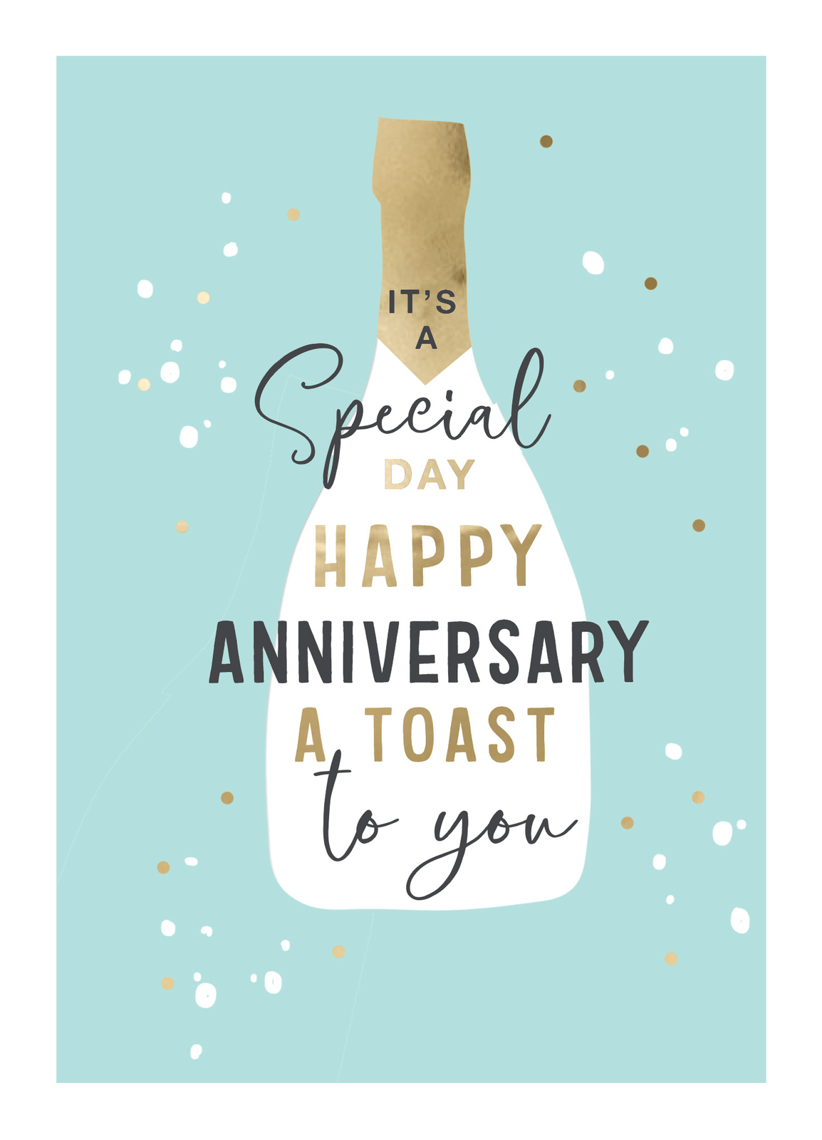 It's A Special Day Happy Anniversary Card Foiled Portobello Greeting Cards