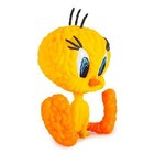 Foto 9 di 9