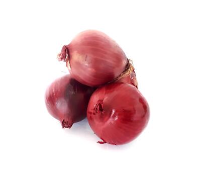 Frische Rote Zwiebeln Rote Speisezwiebel Rote