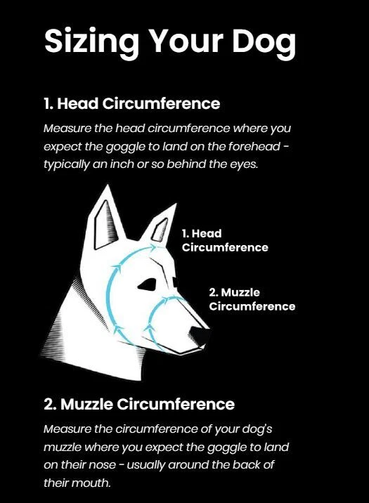 GAFAS REX SPECS PERRO VERSIÓN 2 TALLA MEDIANA - Imagen 2 de 3