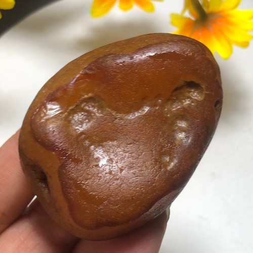 92g Bonsai Suiseki-Natural Gobi Agate Eyes Stone-Rare Stunning Viewing-E5 - Bild 7 von 20