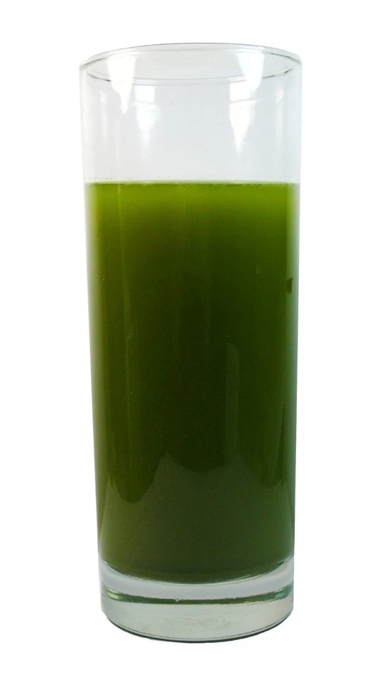 Polvo de té verde natural matcha orgánico estimula tu sistema inmunológico1 lb Foto 3 de 3