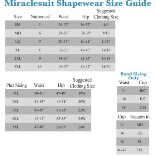 Calzoncillo Miraclesuit Mujer Forma con Borde Extra Firme Cintura Alta 2705 - Imagen 2 de 20