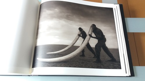 Nick Brandt - Quer durch wüstes Land - 2013 - Bild 9 von 10