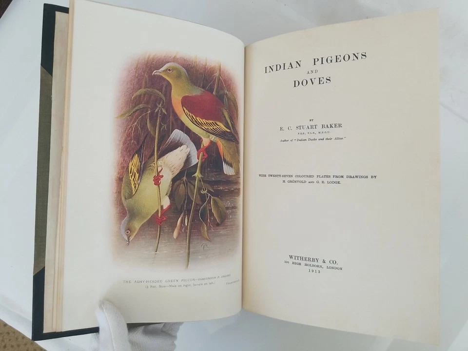 Indian Pigeons and Doves. Baker.  1913. 1st ed. Color plates. - Image 3 of 4